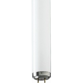 Lampe Actinique BL TL 40W/10 SLV