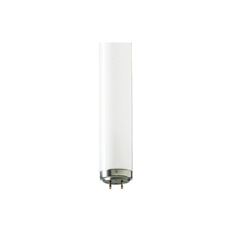 Lampe UVB - TL 20W/01 RS SLV